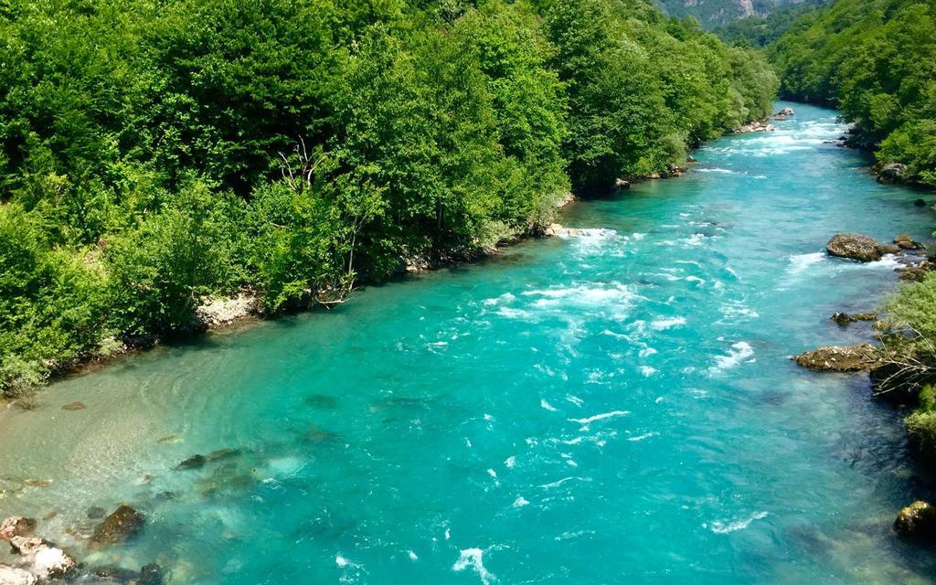 Rafting Camp Tara 87 Hotel Hum Exterior foto